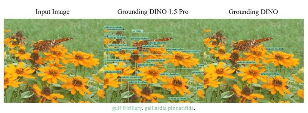 Figure 11: Side-by-side comparison between Grounding DINO 1.5 Pro and Grounding DINO (part 2).
